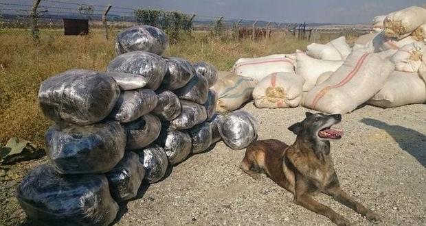 Saman kamyonunda PKK esrarı çıktı