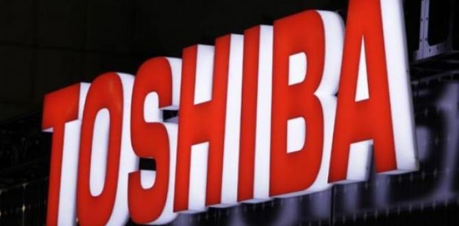 Toshiba, güneş enerjisi santrali yapacak