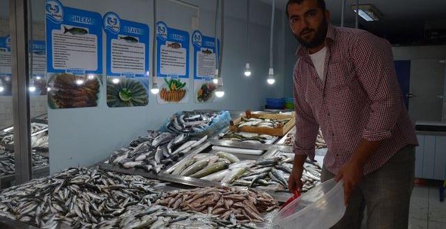 Balık sezonu başladı! İşte 2016 balık fiyatları