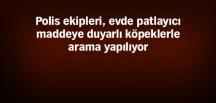 O şehirde canlı bomba operasyonu: 7 kişi gözaltında!