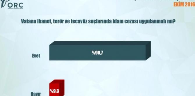 Türkiye idam istiyor, işte partilerin oy oranı!