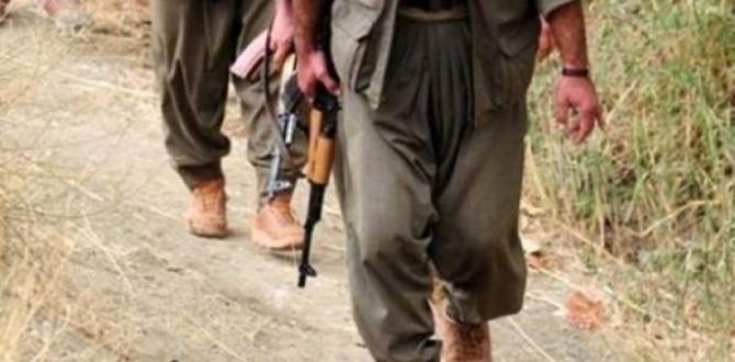 8 PKK’lı terörist etkisiz hale getirildi