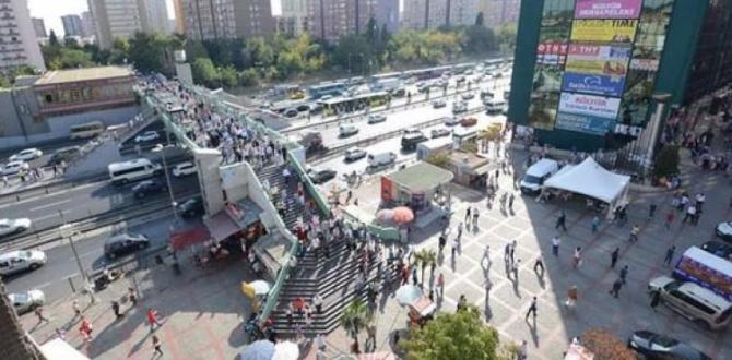 İstanbul’un orta yerini arılar bastı!