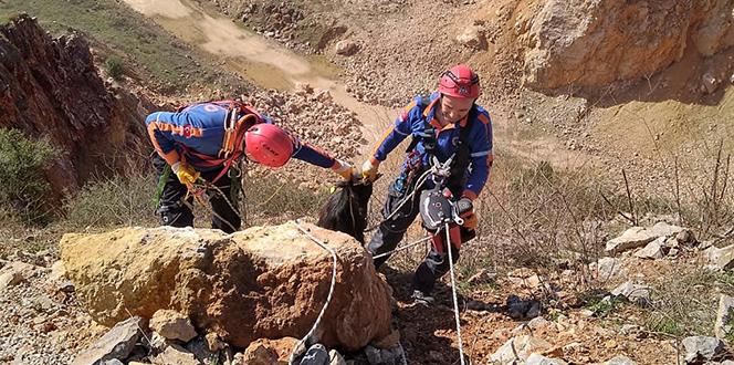 Uçuruma düşen keçi AFAD’ı seferber etti